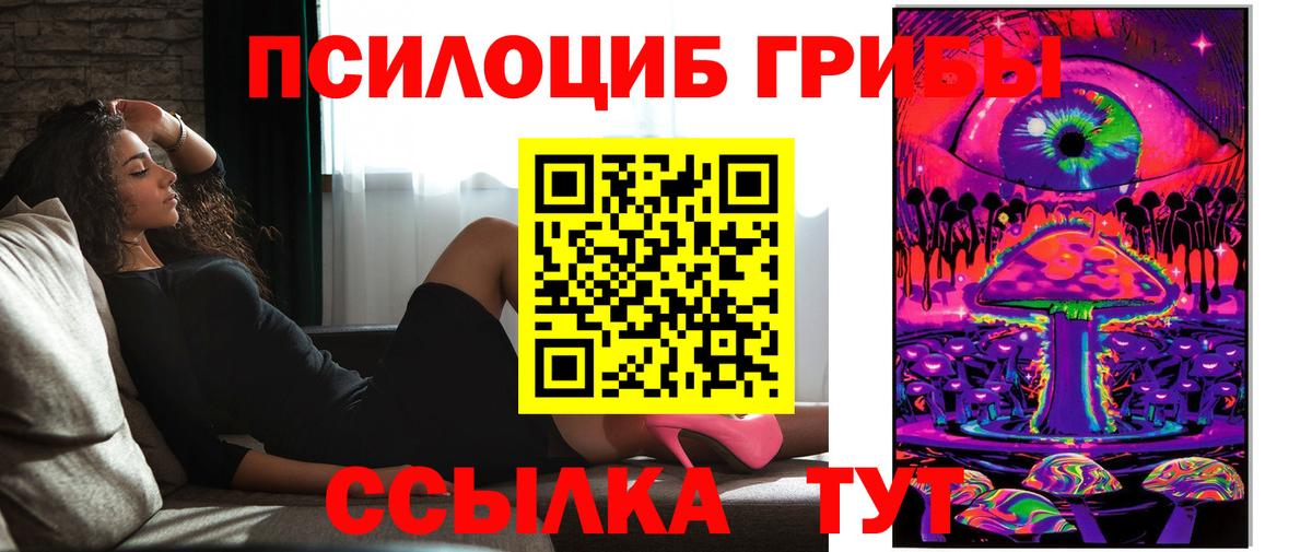 Шебекино  Галлюциногенные грибы Psilocybine cubensis  Вход с VPN 