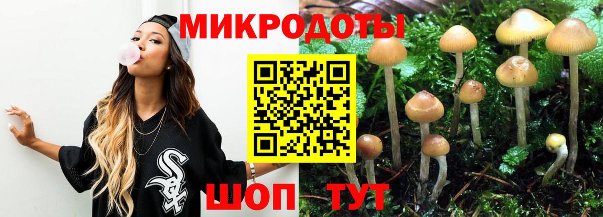 Псилоцибиновые грибы мухоморы Шебекино